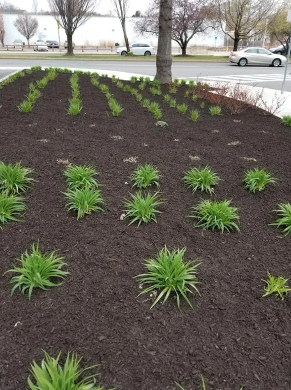 Top-rated landscape installation experts serving Lynn, MA - EBL Landscape & Construction