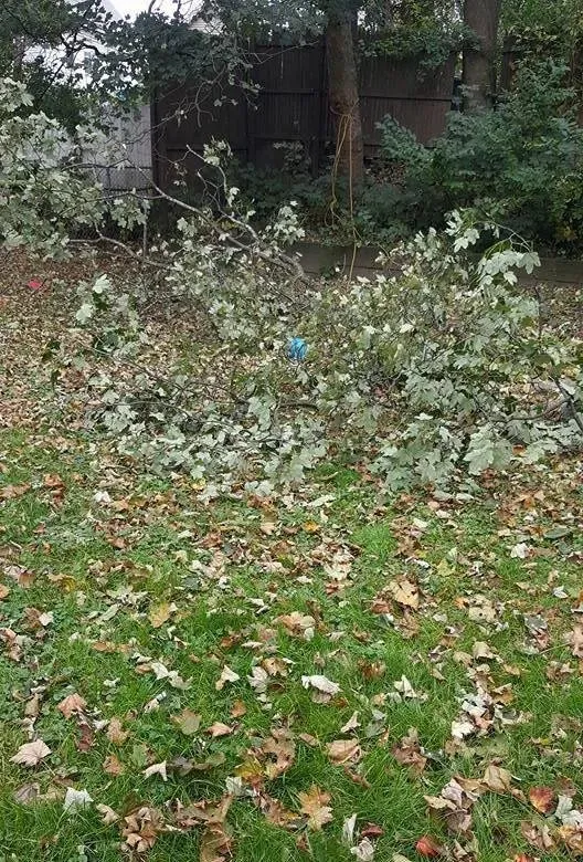 Expert yard maintenance in Lynn, MA by EBL Landscape & Construction