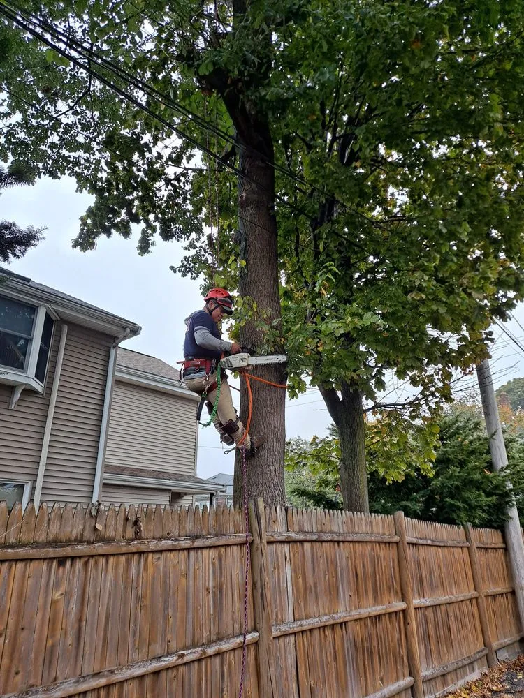 Trusted yard maintenance experts serving Lynn, MA - EBL Landscape & Construction