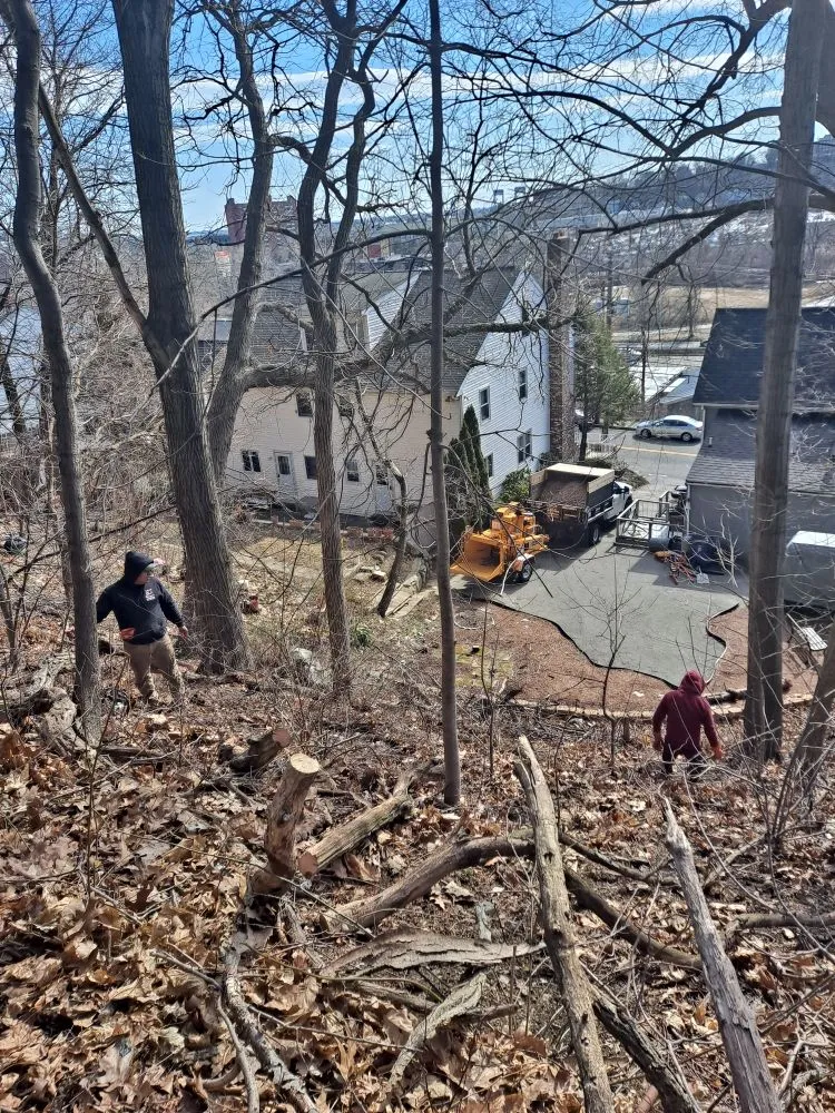 Local landscaping services for residential properties in Lynn, MA by EBL Landscape & Construction