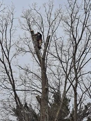 EBL Landscape & Construction Logo