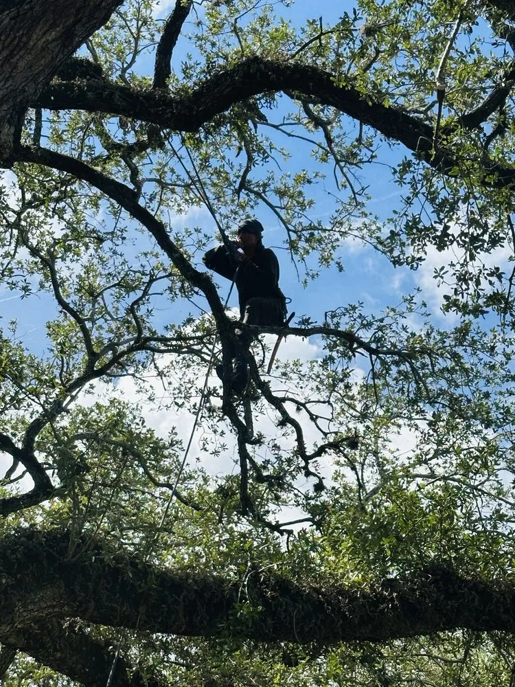 Reliable lawn mowing service in Fort Lauderdale, FL - EBM Property Maintenance