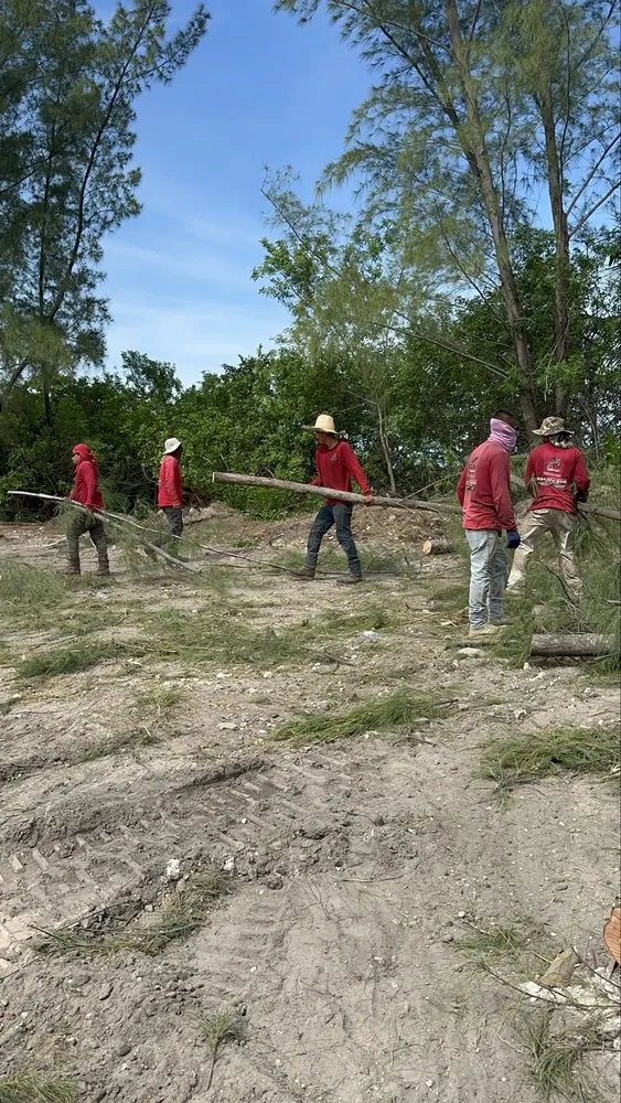 Custom yard cleanup service in Fort Lauderdale, FL by EBM Property Maintenance