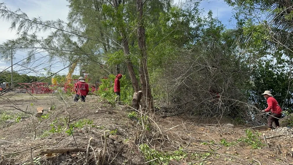 Expert residential landscaping in Fort Lauderdale, FL by EBM Property Maintenance