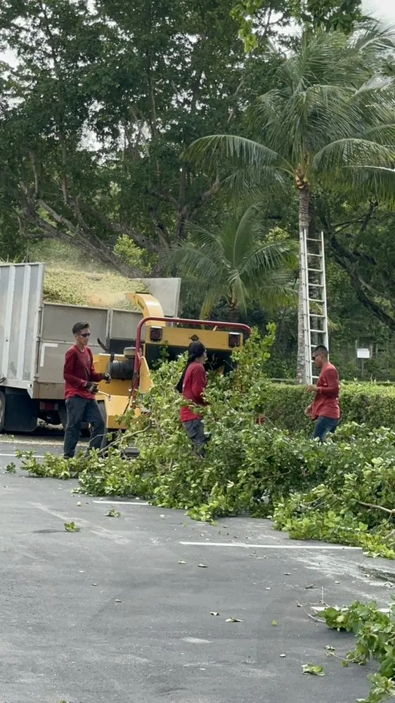 Professional yard cleanup service near you in Fort Lauderdale, FL by EBM Property Maintenance