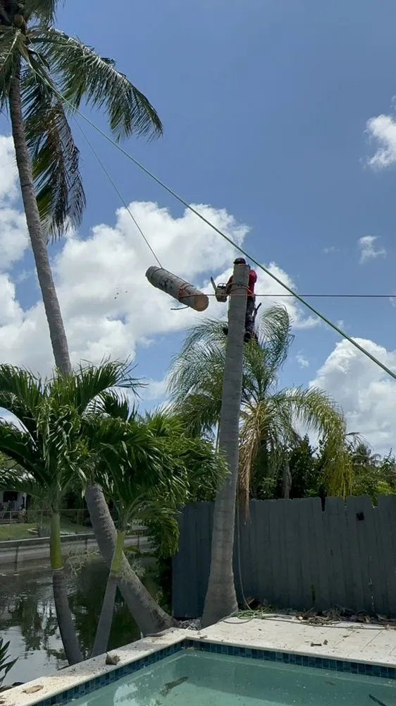 Top-rated yard cleanup service with custom design across Fort Lauderdale, FL - EBM Property Maintenance