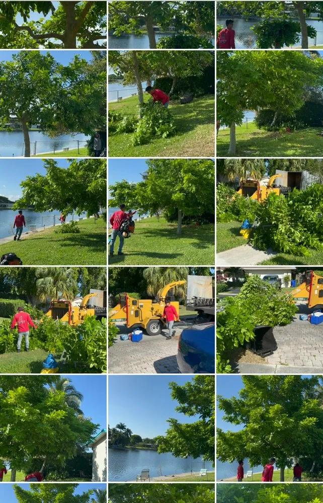 Affordable residential landscaping in Fort Lauderdale, FL - EBM Property Maintenance