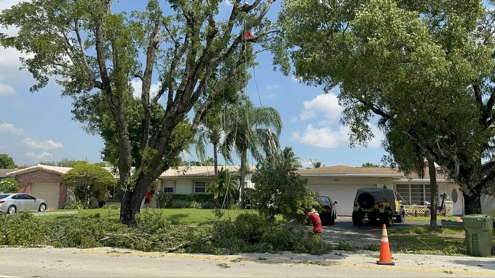 Local residential landscaping in Fort Lauderdale, FL - EBM Property Maintenance