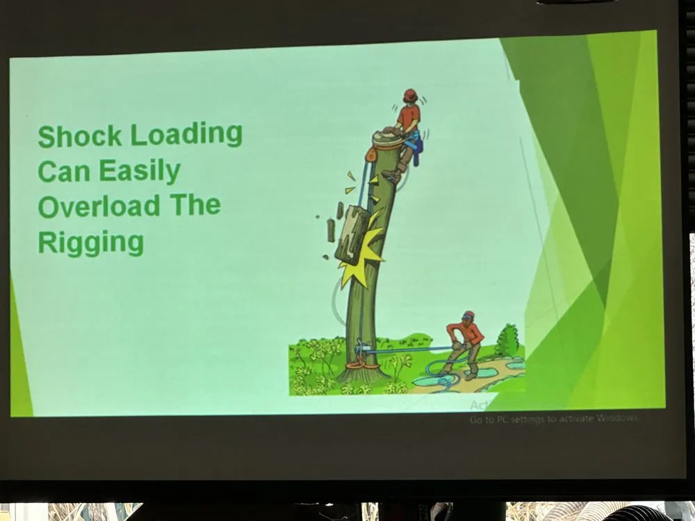 Local lawn care service for outdoor upgrades across Fort Lauderdale, FL - EBM Property Maintenance