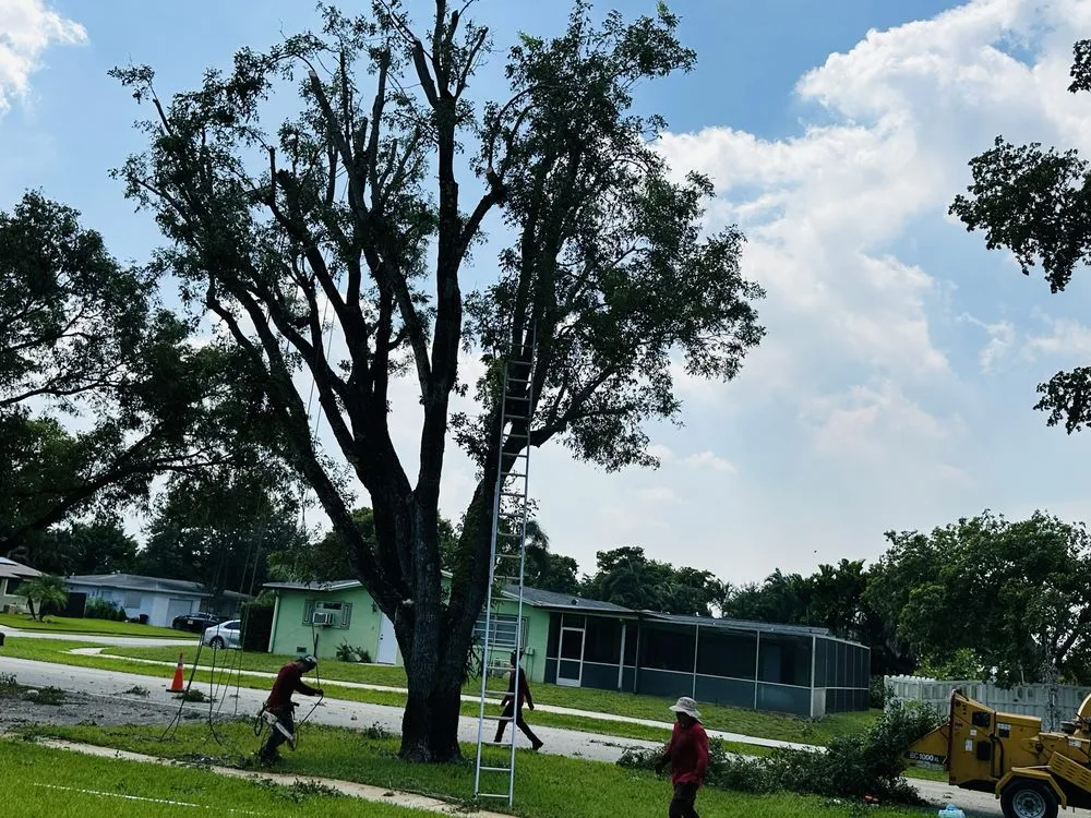 Top-rated yard cleanup service in Fort Lauderdale, FL - EBM Property Maintenance