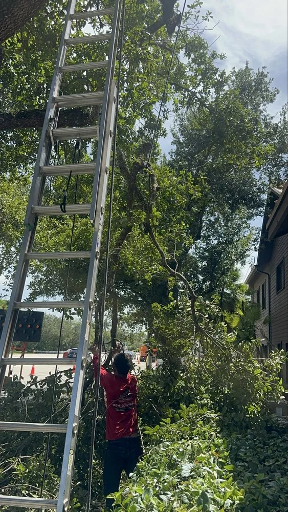 Expert garden landscaping with custom design across Fort Lauderdale, FL - EBM Property Maintenance