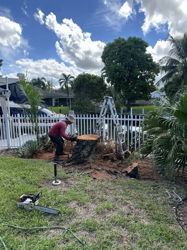Professional landscaping services for outdoor upgrades in Fort Lauderdale, FL by EBM Property Maintenance