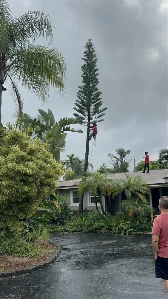 Local landscape installation in Fort Lauderdale, FL - EBM Property Maintenance