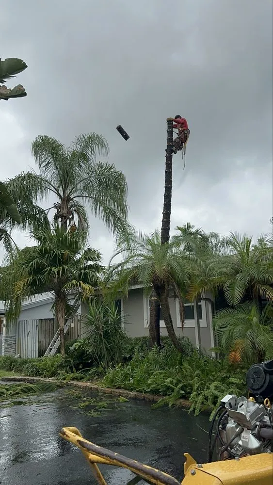 Reliable lawn mowing service for outdoor upgrades across Fort Lauderdale, FL - EBM Property Maintenance