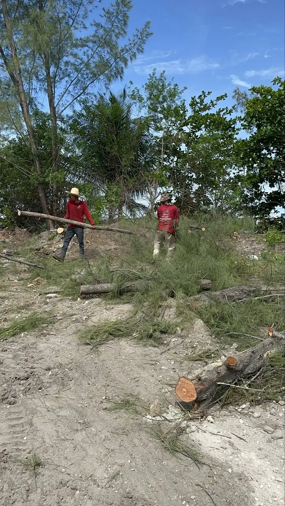 Custom residential landscaping with custom design in Fort Lauderdale, FL by EBM Property Maintenance