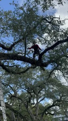 EBM Property Maintenance Logo