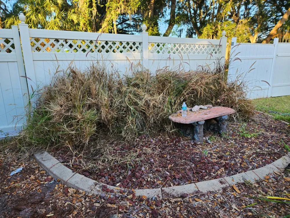 Expert landscape installation experts serving Lakeland, FL - EBP Landscaping