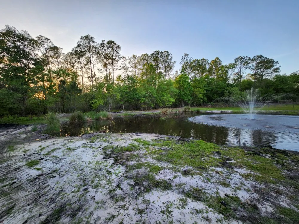 Reliable lawn care service in Lakeland, FL by EBP Landscaping