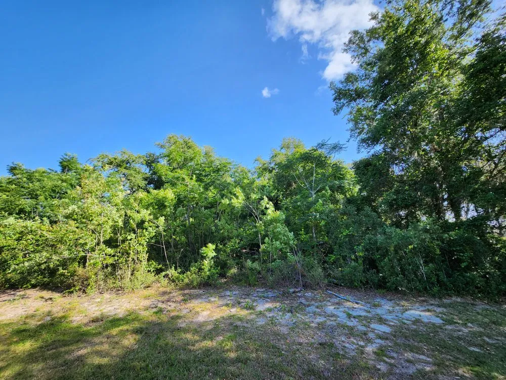 Reliable lawn mowing service for beautiful yards in Lakeland, FL by EBP Landscaping