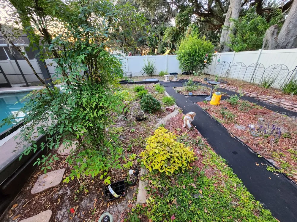 Top-rated yard maintenance in Lakeland, FL by EBP Landscaping