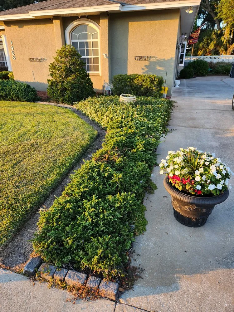 Custom lawn mowing service experts serving Lakeland, FL - EBP Landscaping