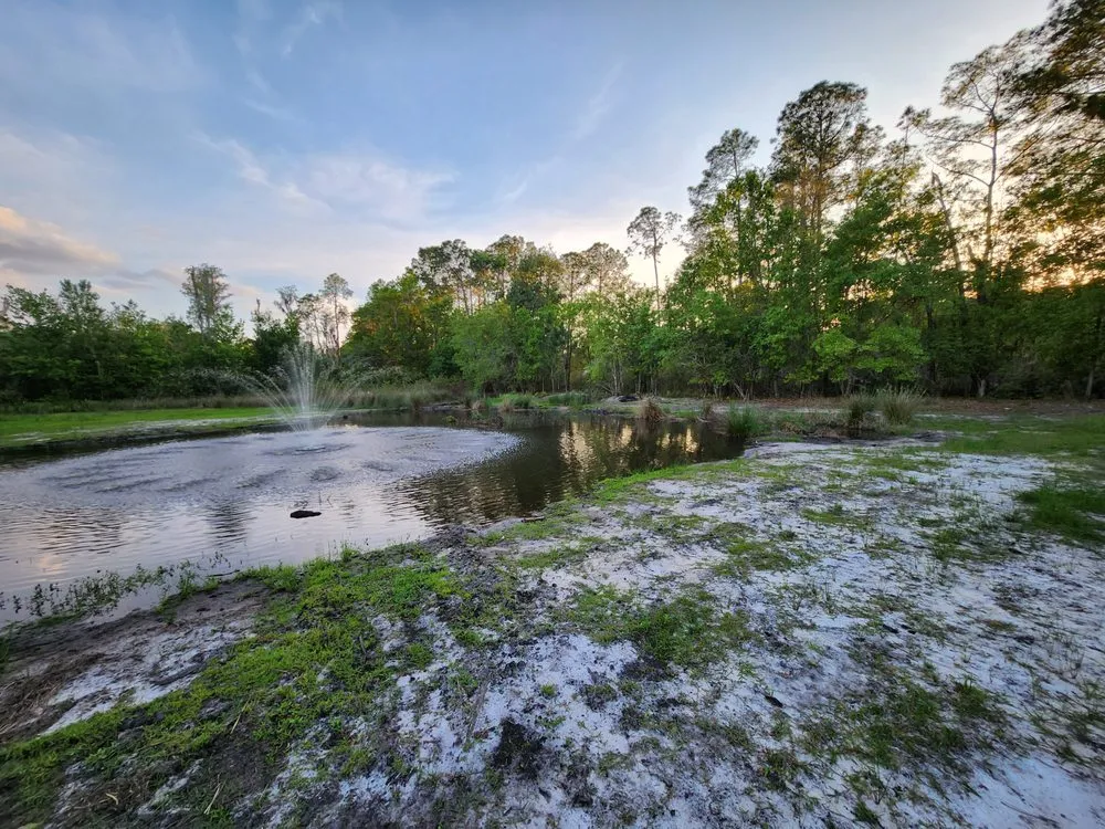 Affordable lawn care service experts serving Lakeland, FL - EBP Landscaping