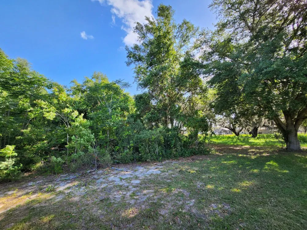 Custom lawn care service in Lakeland, FL - EBP Landscaping