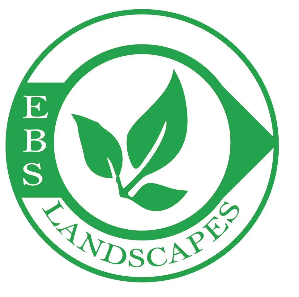 Trusted yard cleanup service in Kingman, AZ - EBS Landscapes