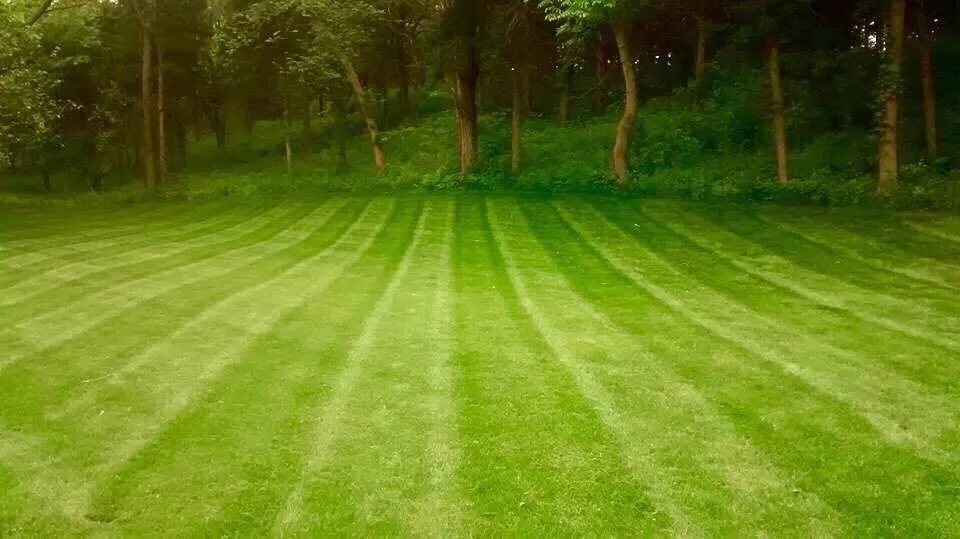 Professional outdoor landscaping for residential properties across Ashland, NE - Eby Lawn Care