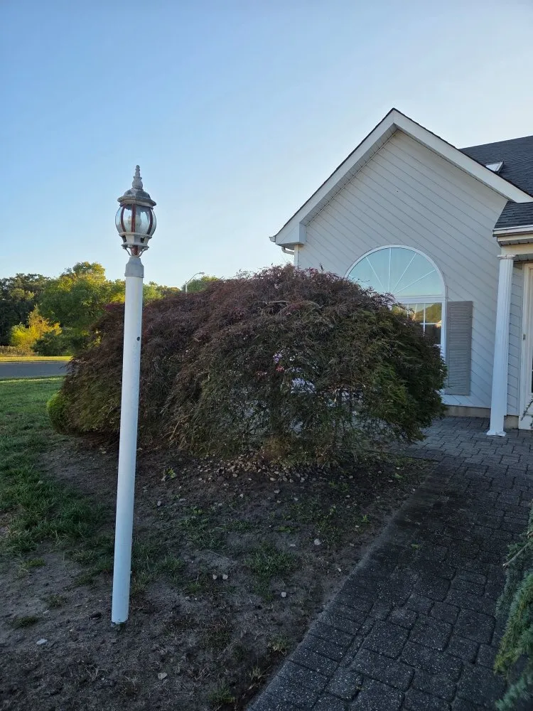 Local landscape design for homes in Lakewood, NJ by Ec & Son