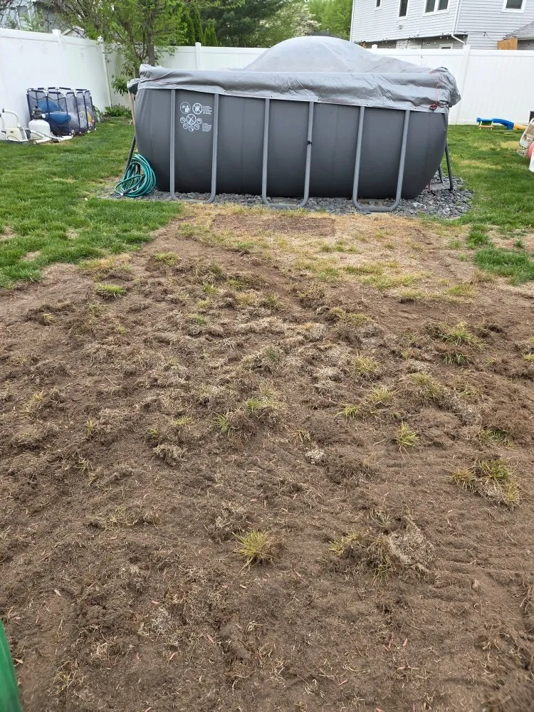 Expert residential landscaping in Lakewood, NJ by Ec & Son