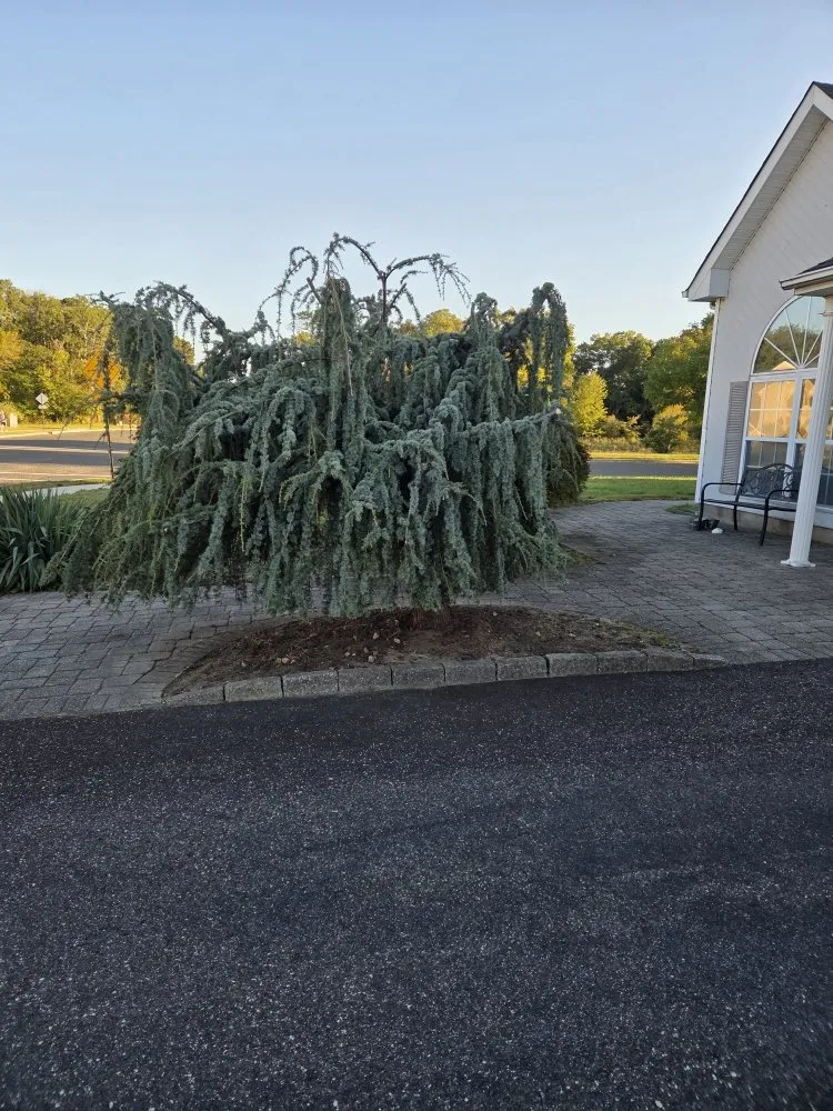 Professional landscape installation for residential properties across Lakewood, NJ - Ec & Son