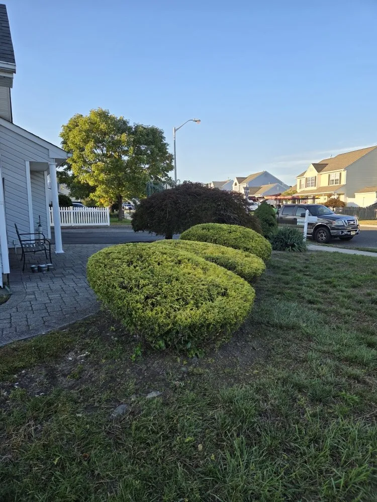 Affordable outdoor landscaping experts serving Lakewood, NJ - Ec & Son