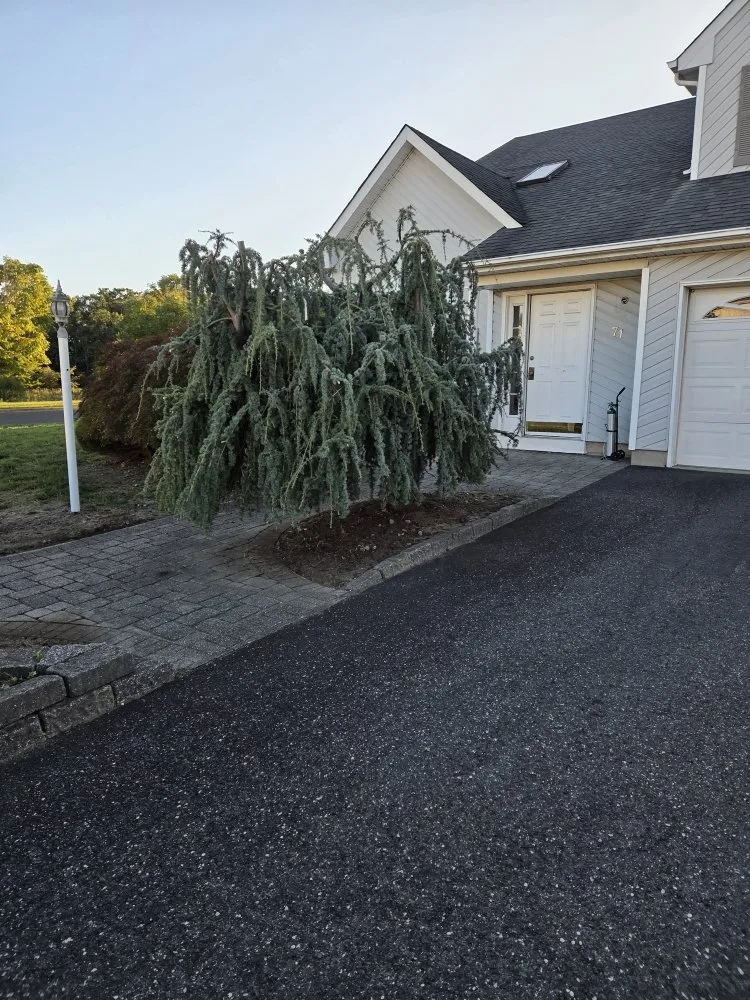 Trusted residential landscaping for year-round maintenance in Lakewood, NJ by Ec & Son