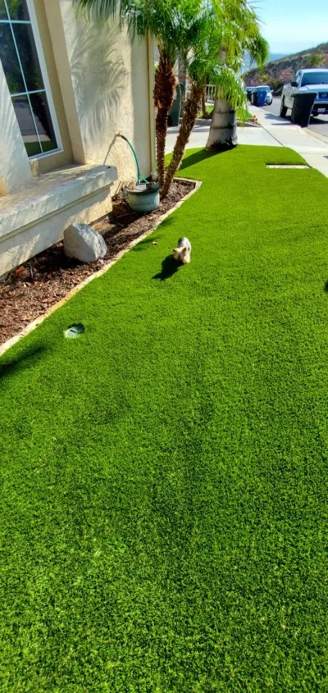 Affordable outdoor landscaping for year-round maintenance in National City, CA by E.C. Artificial Turf