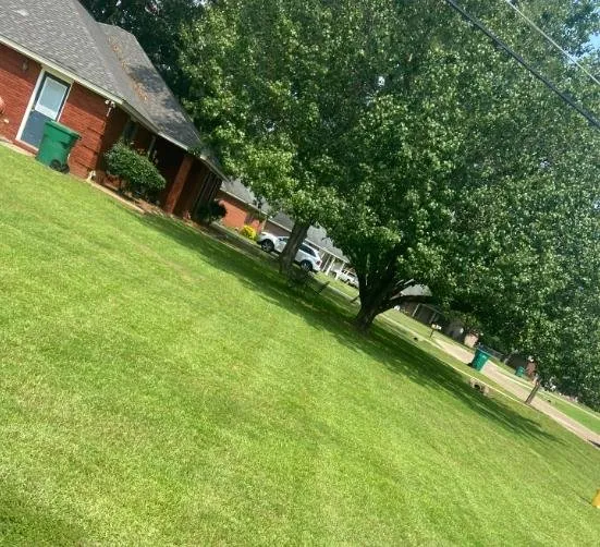 Affordable yard maintenance for beautiful yards across Prattville, AL - EC Detailed Lawn Care and Pressure Wash
