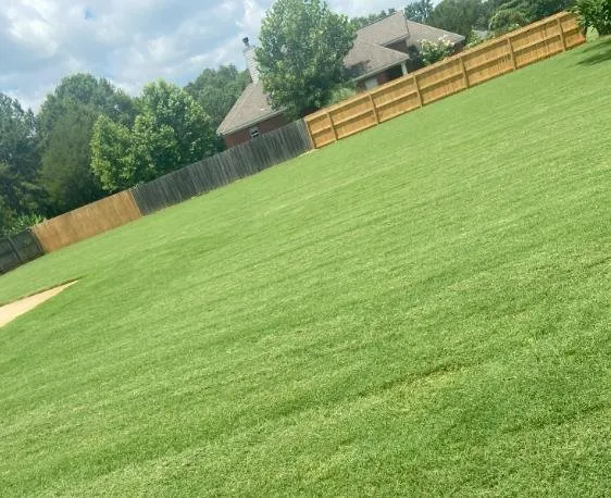 Reliable lawn care service in Prattville, AL by EC Detailed Lawn Care and Pressure Wash