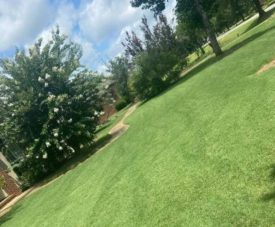 Professional yard maintenance in Prattville, AL - EC Detailed Lawn Care and Pressure Wash