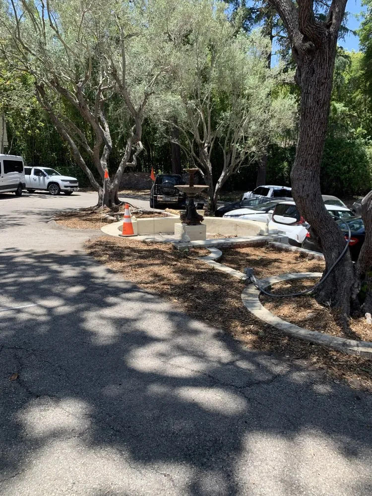 Local yard cleanup service in San Fernando Valley, CA by EC Evergreen