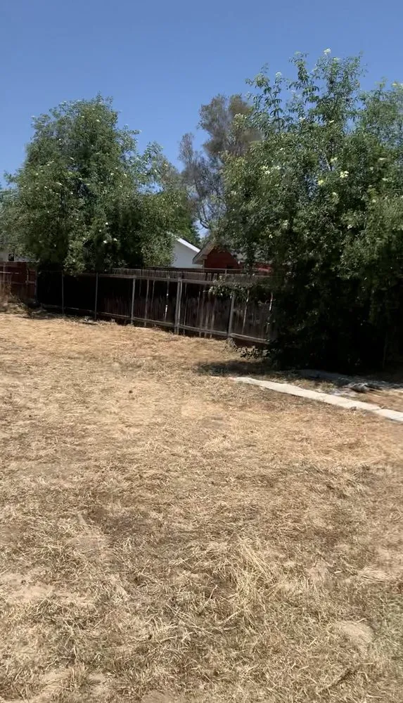 Custom garden landscaping for beautiful yards in San Fernando Valley, CA by EC Evergreen