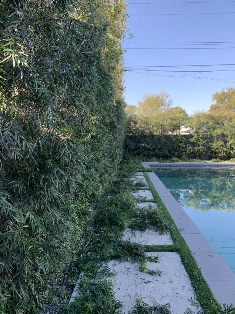 Expert garden landscaping in San Fernando Valley, CA by EC Evergreen