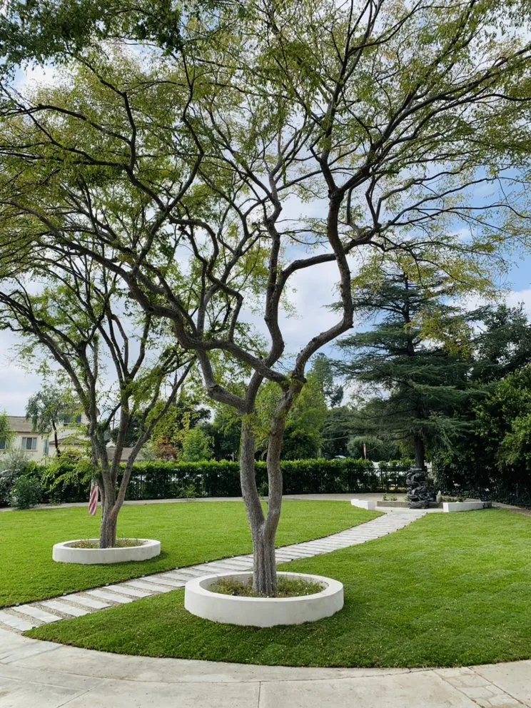 Professional lawn mowing service in San Fernando Valley, CA - EC Evergreen