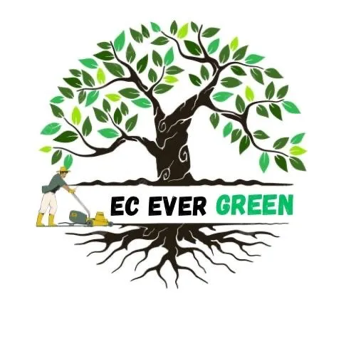 Expert lawn mowing service experts serving San Fernando Valley, CA - EC Evergreen