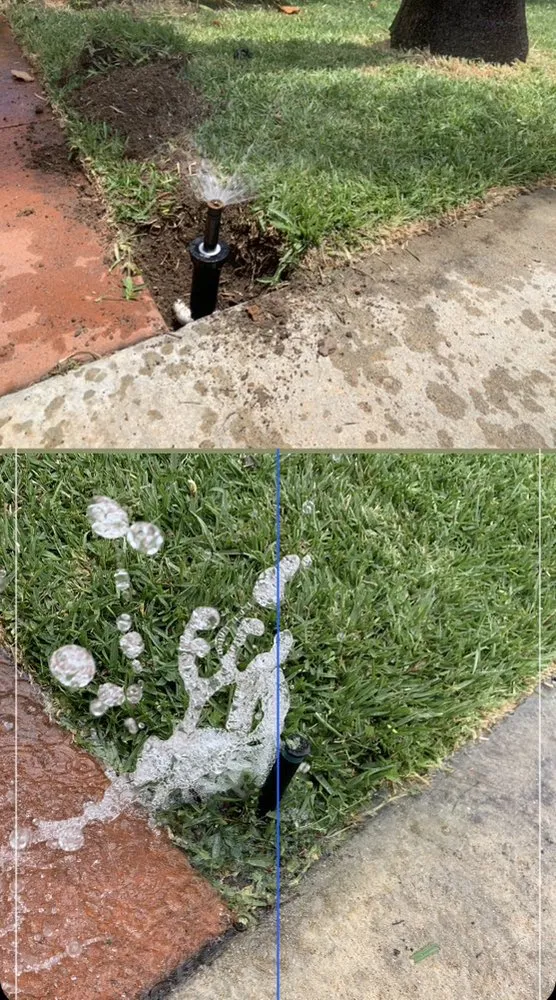 Local landscaping services for outdoor upgrades in San Fernando Valley, CA by EC Evergreen