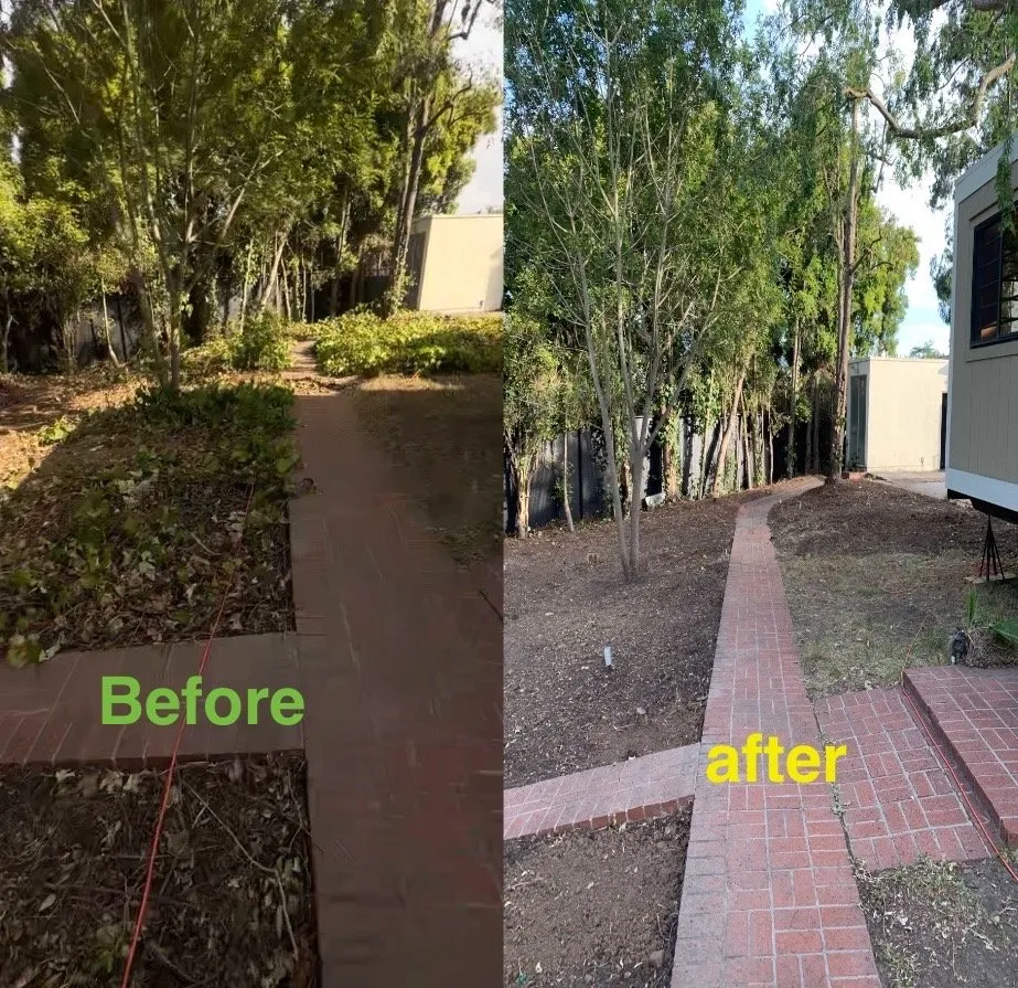 Local landscape installation for homes across San Fernando Valley, CA - EC Evergreen