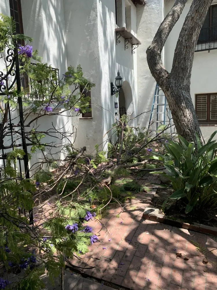 Professional landscape design for homes in San Fernando Valley, CA by EC Evergreen