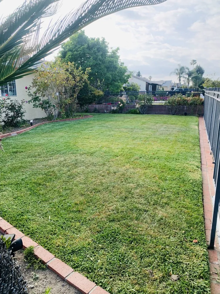 Trusted lawn care service experts serving San Fernando Valley, CA - EC Evergreen