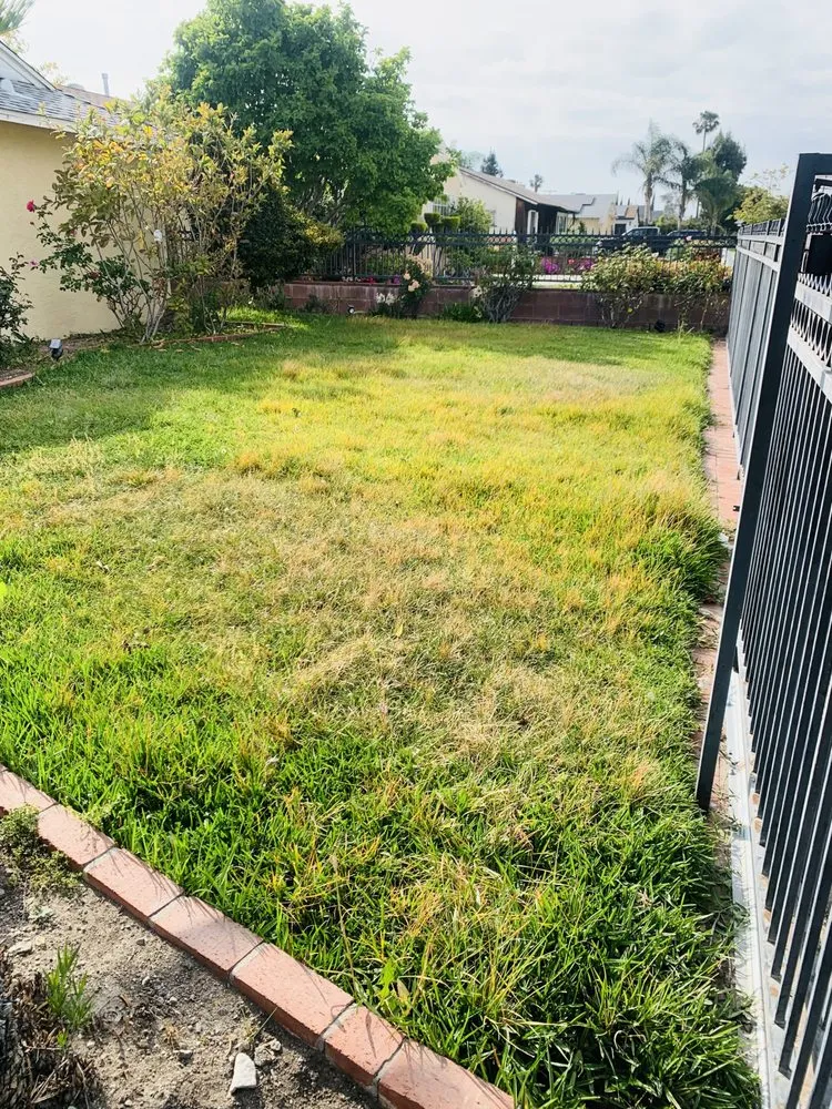Professional lawn care service for homes in San Fernando Valley, CA by EC Evergreen