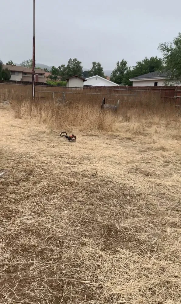 Top-rated residential landscaping experts serving San Fernando Valley, CA - EC Evergreen