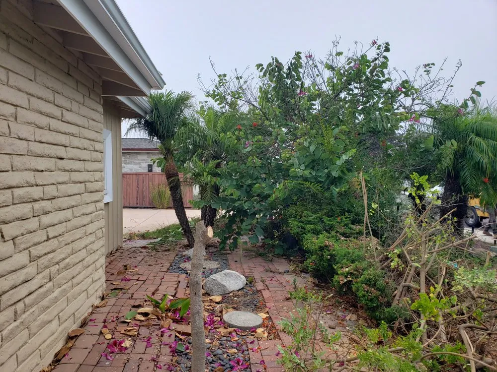 Custom yard cleanup service with custom design across Compton, CA - EC Irrigation Repair